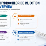 httpswww.24lifesciences.com 2026 06 22T120040.254