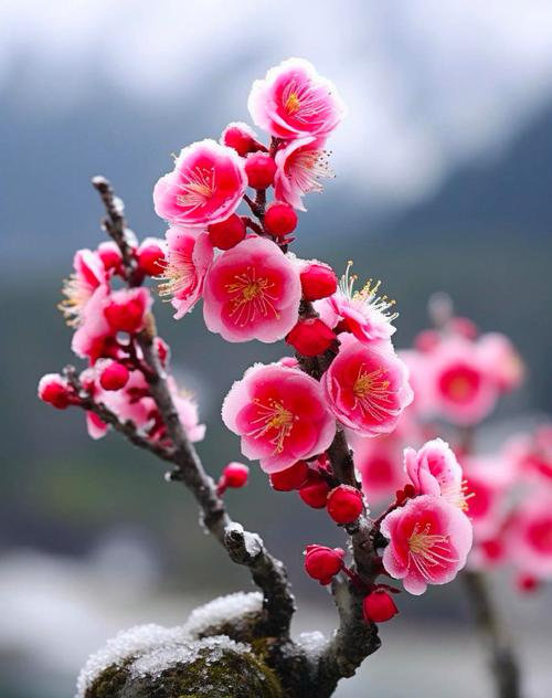 a1cc00f3gy1i9qp289q5pj20dw0hkmyj.jpg