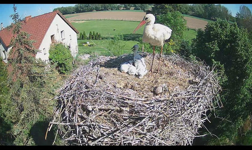 MWSnap552.jpg