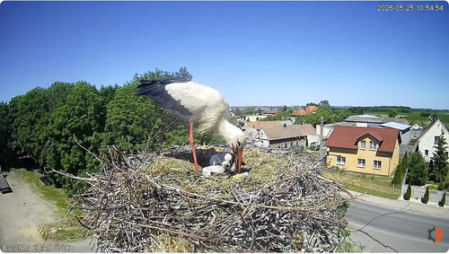 MWSnap694.jpg