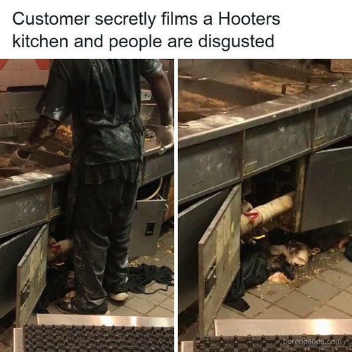 hooters disgusting kitchen.jpg