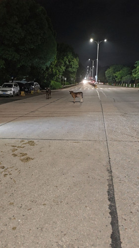 wx camera 1779206142035.jpg