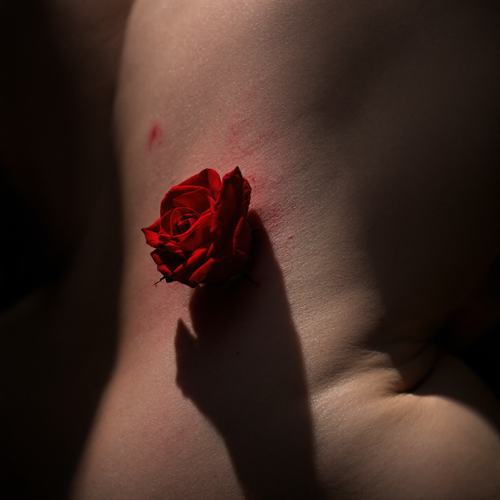 b1408d6c4b92.png