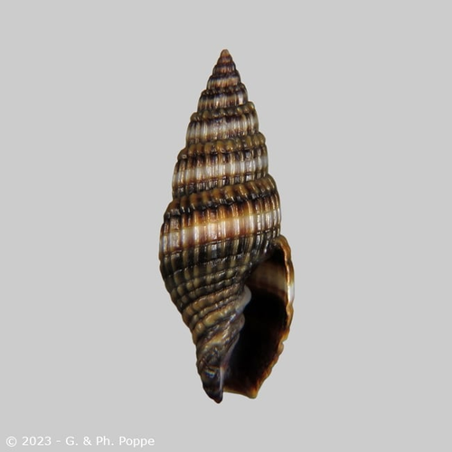 d39eadd44.png