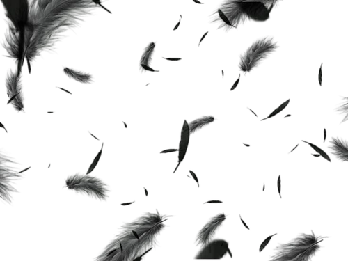 1000112730.png