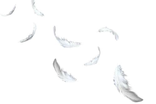 1000112729.png