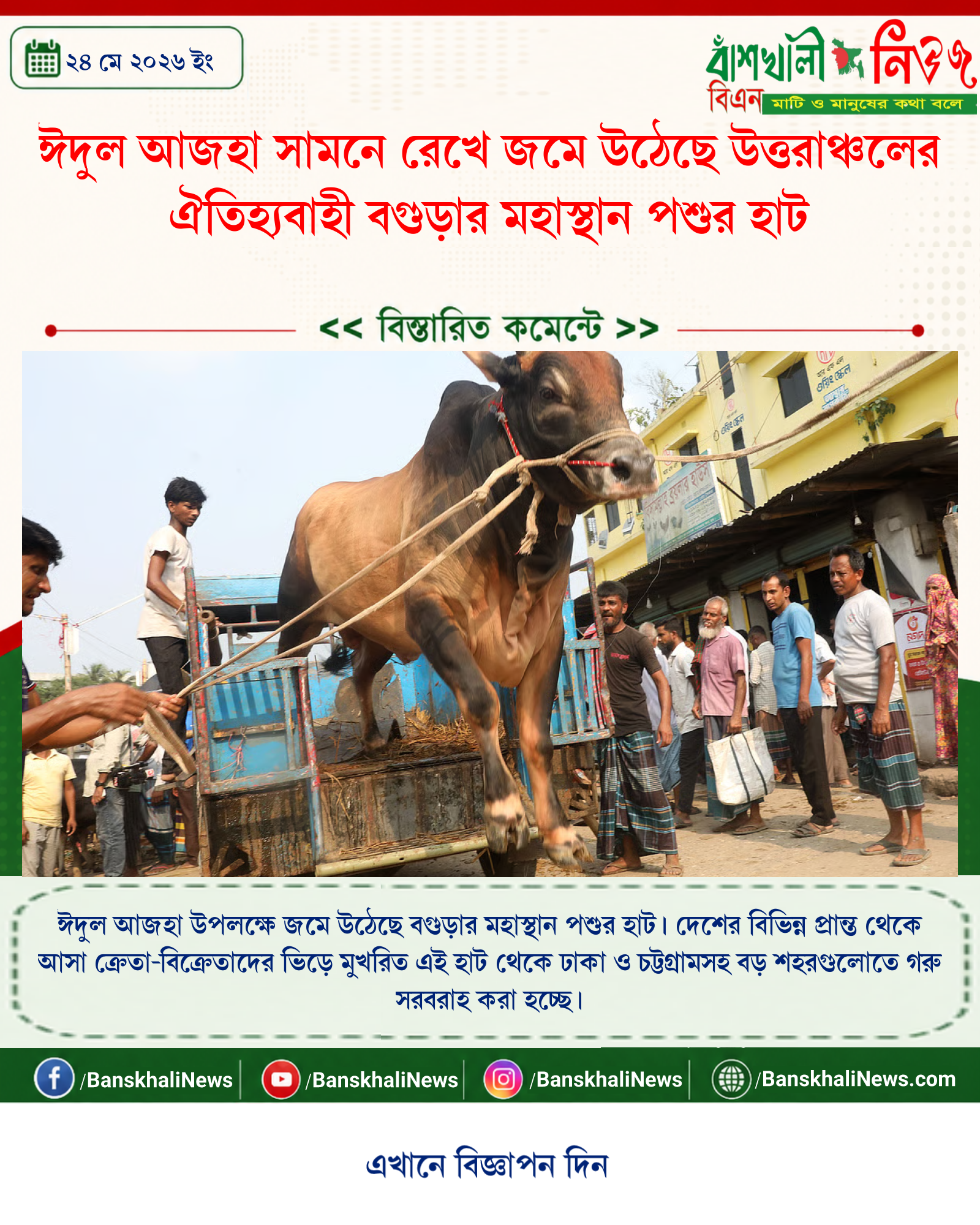 ঈদুল আজহা সামনে রেখে জমে উঠেছে উত্তরাঞ্চলের ঐতিহ্যবাহী বগুড়ার মহাস্থান পশুর হাট