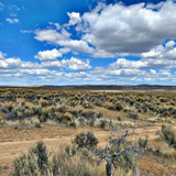 Find Flexible Owner Finance Land Opportunities in Nevada Today.png