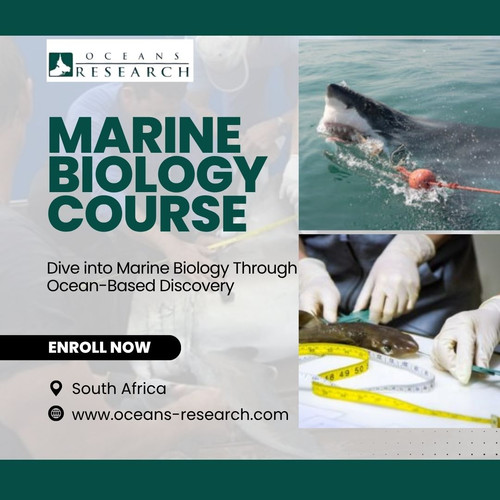 Marine Biology Course South Africa.jpg