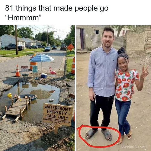 confusing pics.jpg