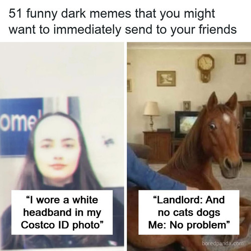 funny relatable memes mysinfulside.jpg