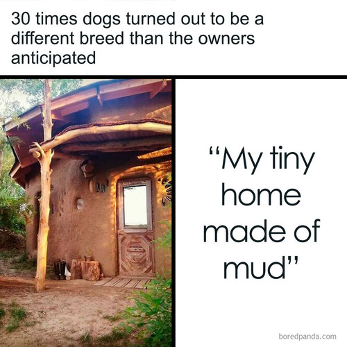 art design home.jpg