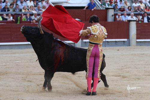 215A1806.jpg