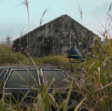 5641654.gif