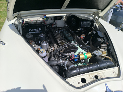 IMG 20260525 133630.jpg