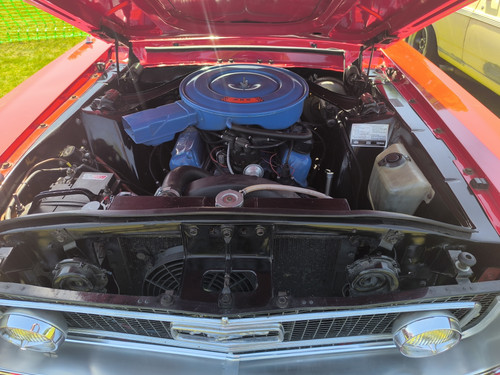 IMG 20260525 141509.jpg