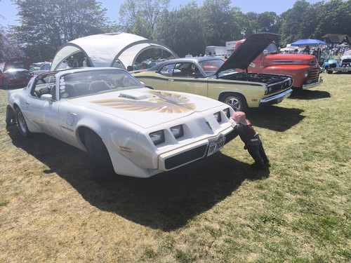 IMG 20260525 140815.jpg