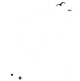 1000040189.gif