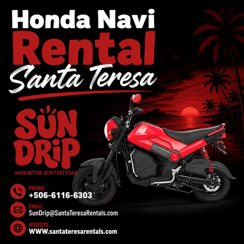 Honda Navi Rental Santa Teresa.png