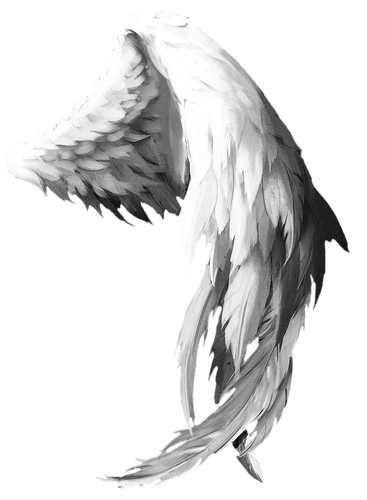 1000112735.png