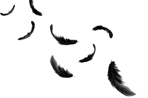 1000112734.png