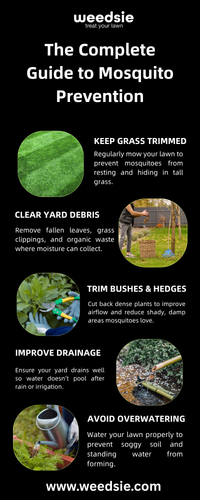 The Complete Guide to Mosquito Prevention.png