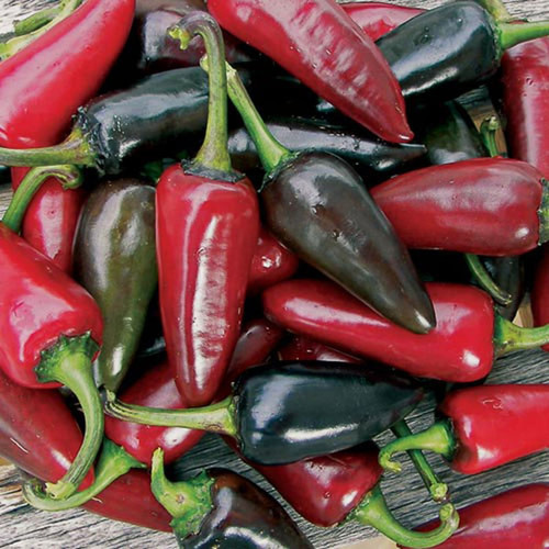 0233 black hungarian pepper.jpg