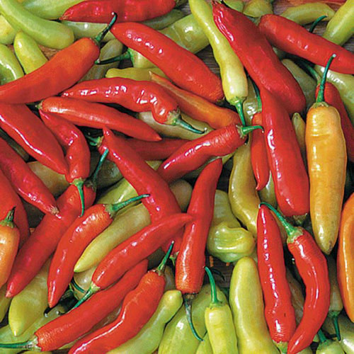 0942 aji crystal pepper.jpg
