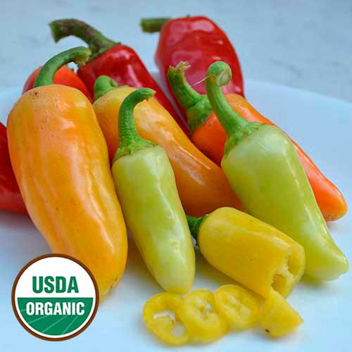 1398 wenks yellow hots pepper organic.jpg
