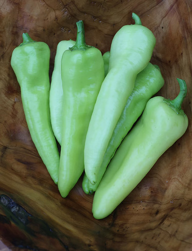 1707 1 hungarian wax sweet pepper.jpg