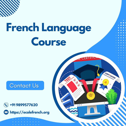 Best French Language Course Options for Beginners.jpg