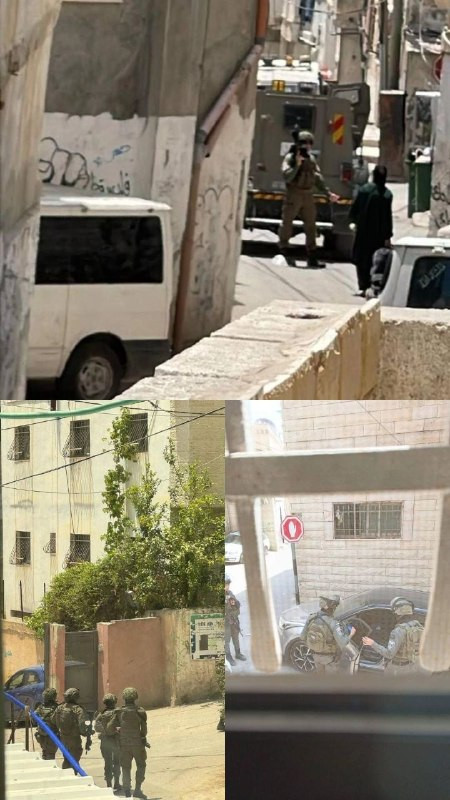 صورة الخبر
