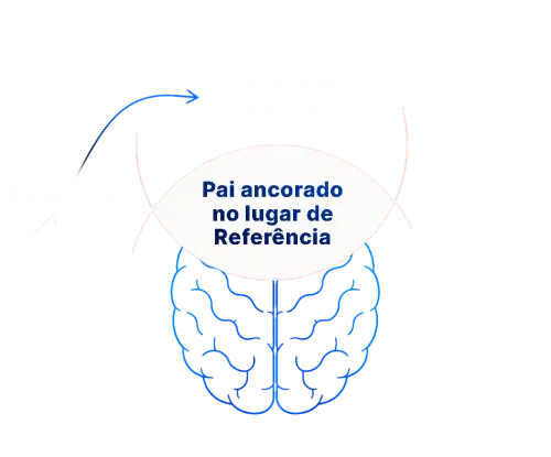 circle fase 3 elementor io optimized.webp