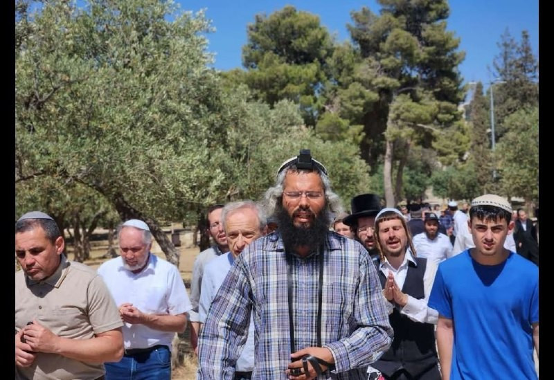 صورة الخبر