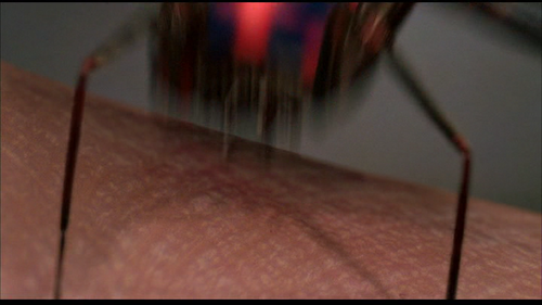 vlcsnap 2026 05 26 10h11m45s986.png