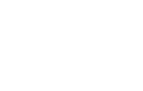 logo saar novo br branco elementor io optimized.webp