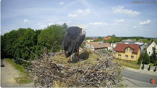 MWSnap196.jpg