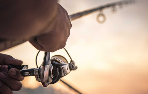 Explore Popular Fishing Spots in Dubai Like a Local.jpg