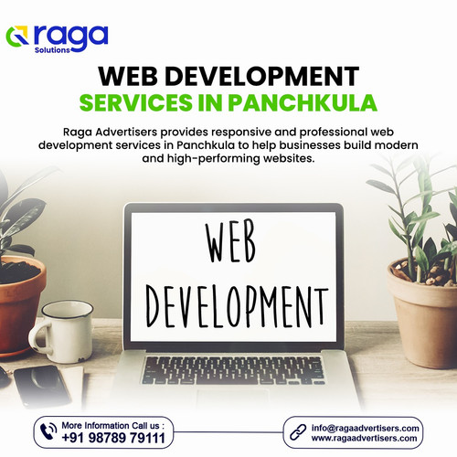 Web Development Services in Panchkula.jpg