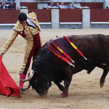 CJwT2ae.th.jpg