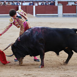 CJwzg19.th.jpg