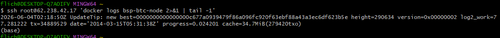 mintty ZvGrdd33PQ.png