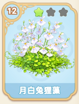 flower 231.png