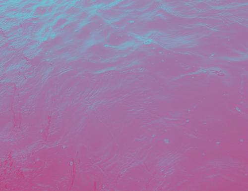 temp.png