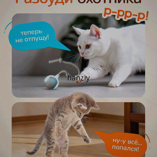 1780538884242.jpg