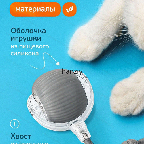 1780538884249.jpg