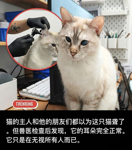 42b668d9d44e.jpg