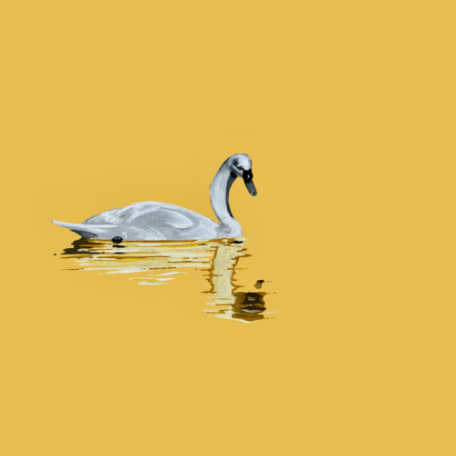 3ab647754815.png