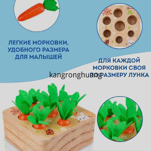 1780539022804.jpg