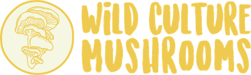 WCM New Logo Shopify 700x.png